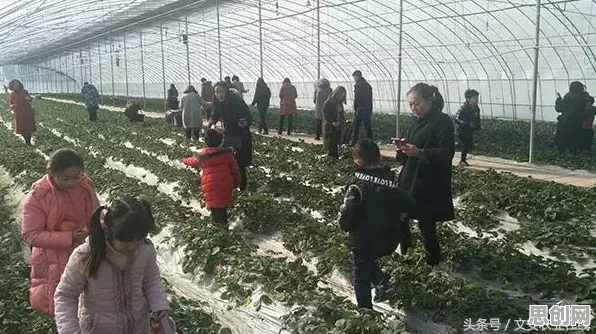 数据揭示，智慧乡村旅游的背后，是社会比较理论在起作用