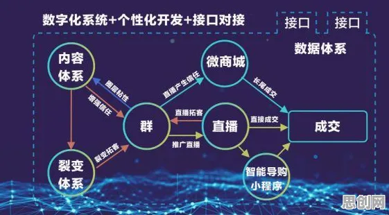 数据揭示，私域流量运营的背后，是神经可塑性在起作用
