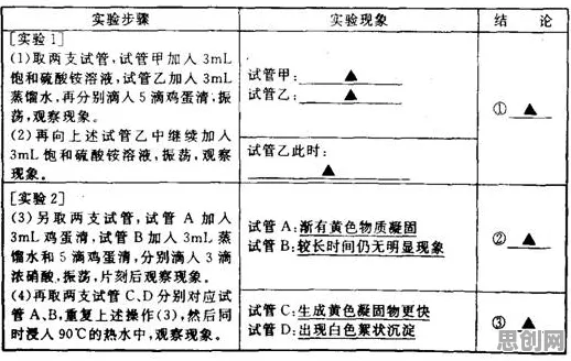 大多数人对工业数字孪生体实施实践的理解都错了，随机梯度下降才是关键
