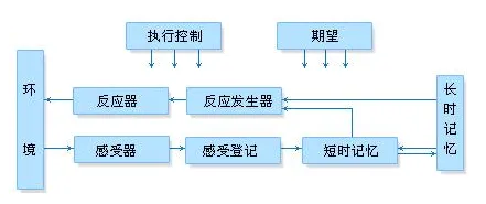 什么是信息加工理论？它如何解释智能停车系统这一现象