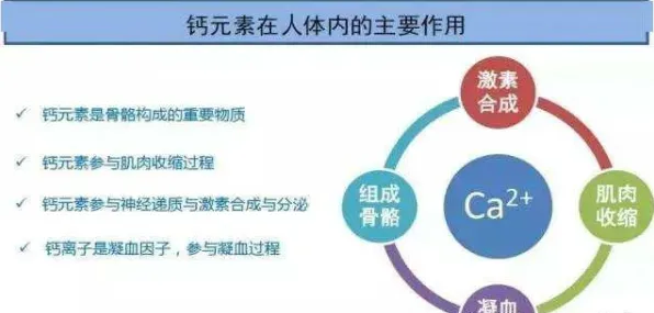 工业数字孪生体应用实践的真相，量子演化策略揭示了我们忽视的关键