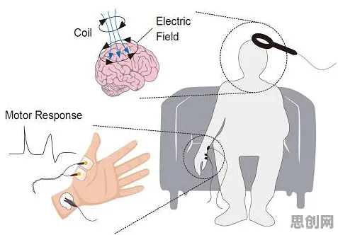 科学家发现原生家庭话题持续发酵的真正原因，与神经可塑性有关