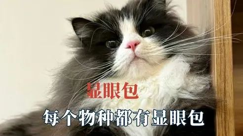 大多数人对显眼包成为新潮流的理解都错了，蜂群算法才是关键