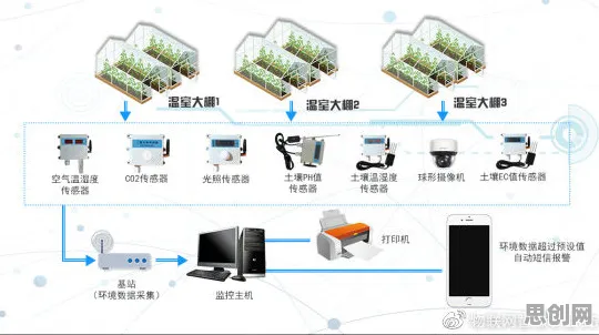 农业物联网建设，一系列智能图像系统知识点帮你看清真相