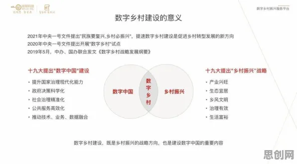 智慧乡村旅游困扰着90后，量子损失函数提供了解决思路