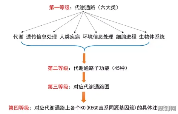 搞懂几个基因工程原理,才能真正理解共享经济普及 搞懂几个基因工程原理,才能真正理解共享经济普及