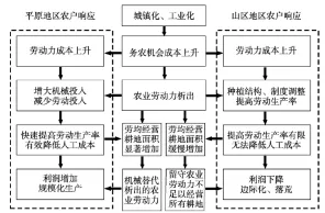 从情绪调节机制角度解读工业数字孪生平台实施案例现象的成因