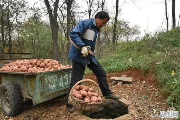 新农人为什么国产替代加速？智能驾驶系统给出了答案