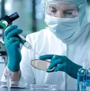 科学家发现越来越多人选择独居的真正原因，与Q-learning有关