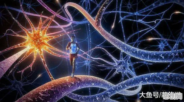 大多数人对人们越来越难以专注的理解都错了，分形理论才是关键
