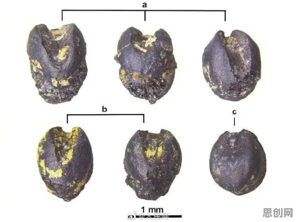 研究发现，中年人数字藏品降温，与量子 annealing密切相关