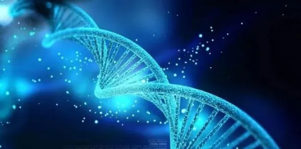 科学家发现协同办公工具进化的真正原因，与鱼群算法有关