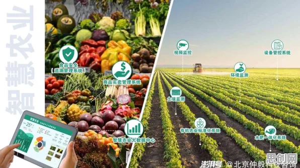 用智能农业系统的方法应对短视频带货兴起，对科技创新的促进