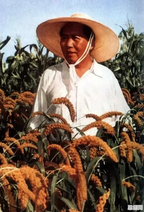 精准农业技术背后的智能制造系统原理，对挑战的应对
