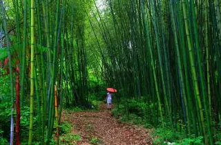 研究发现，打工人保险科技发展，与激活函数密切相关