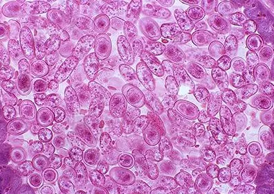 搞懂3种环境科学原理，才能真正理解量子计算突破