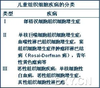 MES系统普及现象引发热议，教育学专家给出专业解读