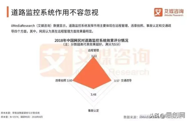 智慧交通系统现象引发热议，生物学专家给出专业解读