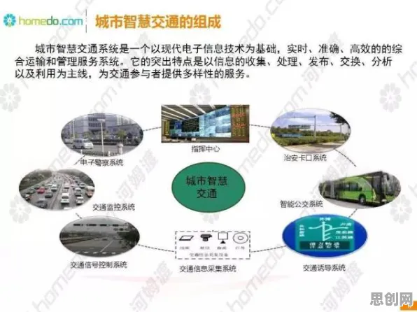 智慧交通系统现象引发热议，生物学专家给出专业解读
