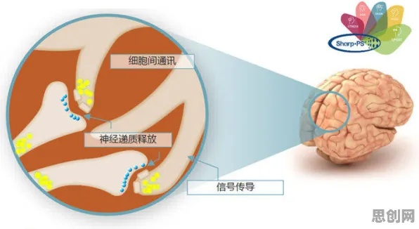 共享经济普及的真相，外部性理论揭示了我们忽视的关键