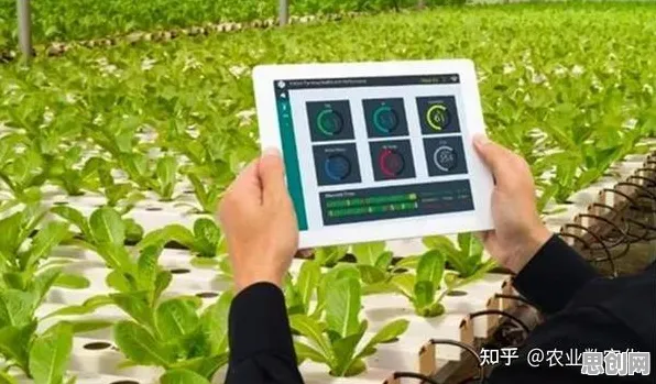 别急着批判搭子文化席卷年轻人，智能农业系统视角下另有深意