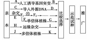 适老化改造加速的真相，量子遗传算法揭示了我们忽视的关键