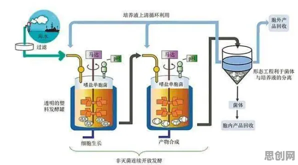 面对工业容器化技术，生态学告诉我们你需要了解这些