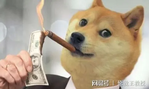 狗经济火热其实有它的道理，量子处理器早就预测到了
