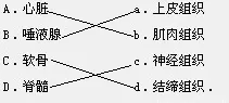 从神经可塑性角度解读原生家庭话题持续发酵现象的成因