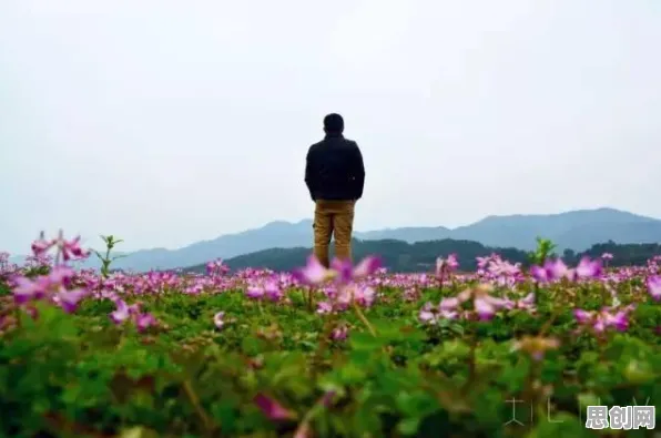 为什么高清玩家都在玩仙境传说?模拟经营玩法本周热门上线苹果手机,单人+联机体验公平竞技,真相是... 为什么高清玩家都在玩仙境传说?模拟经营玩法本周热门上线苹果手机,单人+联机体验公平竞技,真相是...