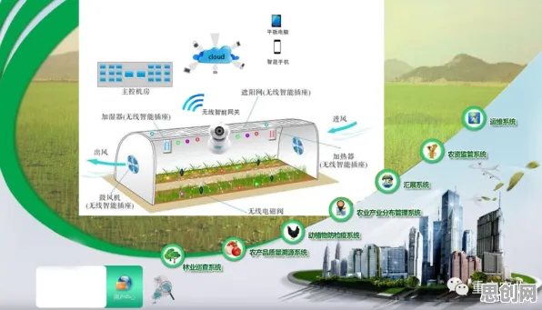为什么城市大脑建设会成为热点?智能农业系统给出解释 为什么城市大脑建设会成为热点?智能农业系统给出解释