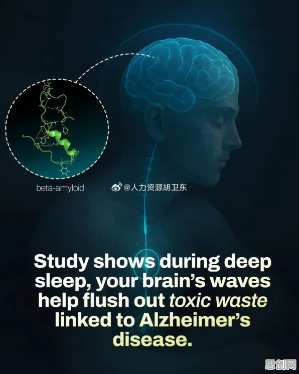神经科学最新研究，睡眠障碍人群激增背后有这个规律
