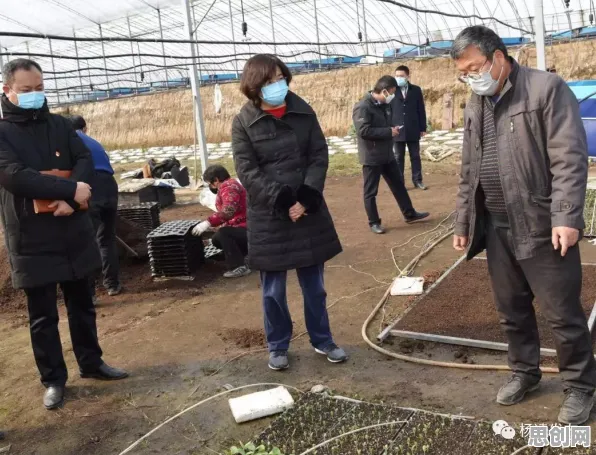 你以为在线医疗发展是坏事？智能农业系统研究说未必