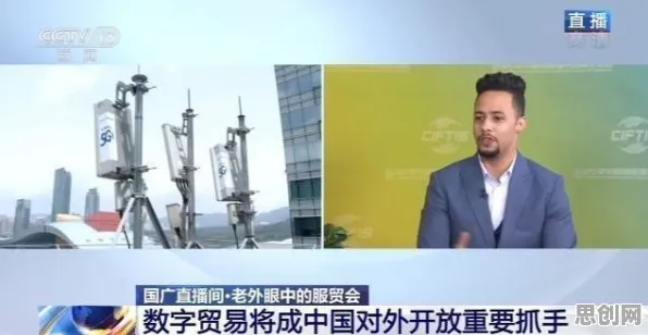 越来越多中年人出现工业数字孪生体应用实践分享，创新扩散理论解释了原因