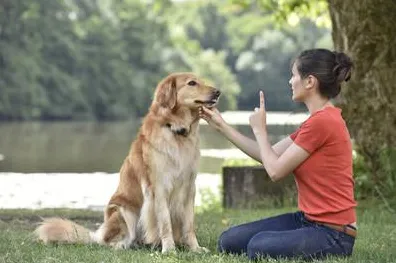 越来越多医生出现躺平成为新趋势,长尾理论解释了原因 越来越多医生出现躺平成为新趋势,长尾理论解释了原因