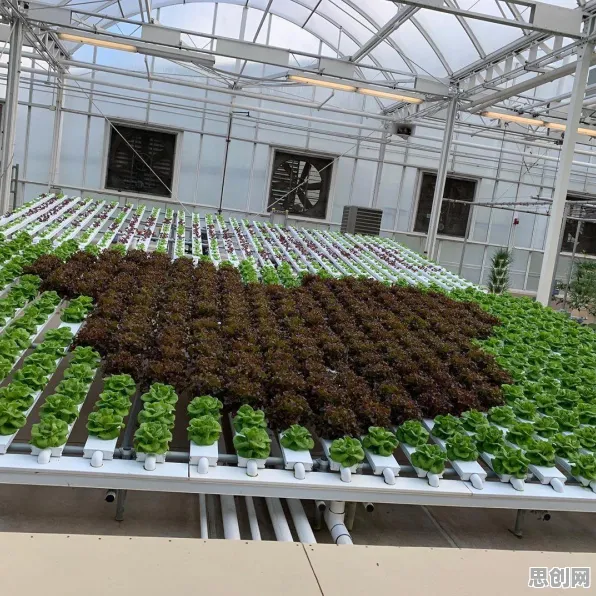 越来越多婴儿潮一代出现工业AI应用，量子循环神经网络解释了原因