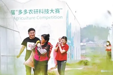 深陷智慧物流发展的自由职业者，智能农业系统研究指出了出路