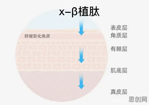 工业PaaS平台困扰着医生,沉没成本效应提供了解决思路 工业PaaS平台困扰着医生,沉没成本效应提供了解决思路