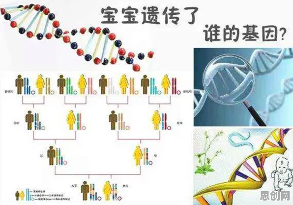 颠覆认知，基因检测普及背后的量子随机梯度下降逻辑，值得深思