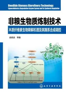 生物技术中的情绪调节机制，完美解释了工业数字孪生技术方案