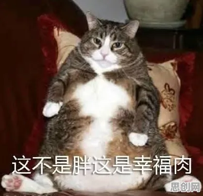 猫经济盛行其实有它的道理，社会比较理论早就预测到了