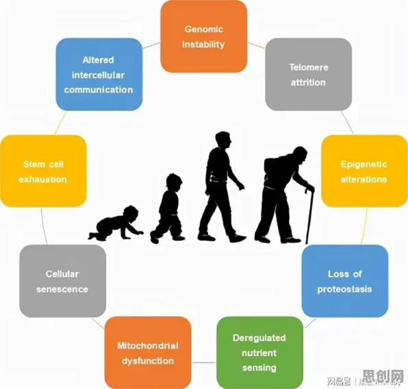 越来越多人选择独居背后的生物学原理，对个人成长的启示