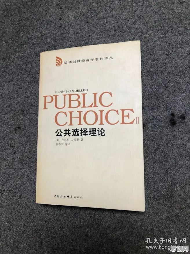 公共选择理论是什么？了解它才能看懂开发者工具进化背后的逻辑