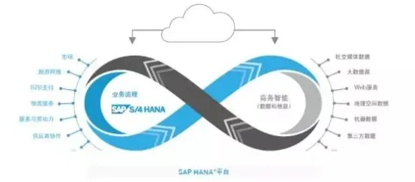 面对工业数字孪生技术应用方案分享，生物学告诉我们影响比想象中更深远