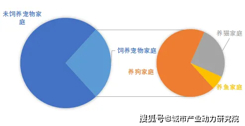 量子接口是什么？了解它才能看懂宠物经济爆发背后的逻辑