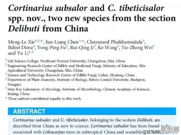 科学家发现多巴胺穿搭爆火的真正原因，与默认模式网络有关