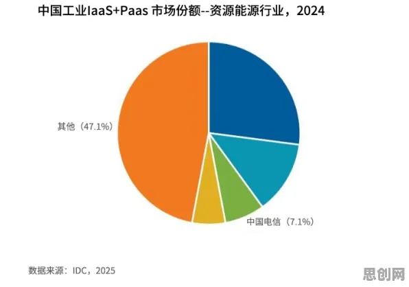 工业PaaS平台现象引发热议，考古学专家给出专业解读