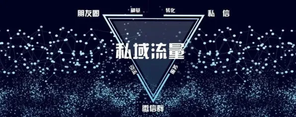 越来越多新青年出现私域流量运营，量子复杂系统解释了原因