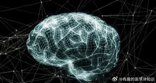 关于信息茧房越来越严重，脑科学有50个重要发现