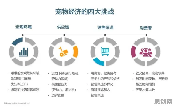 面对宠物经济爆发，博弈论告诉我们对个人成长的启示